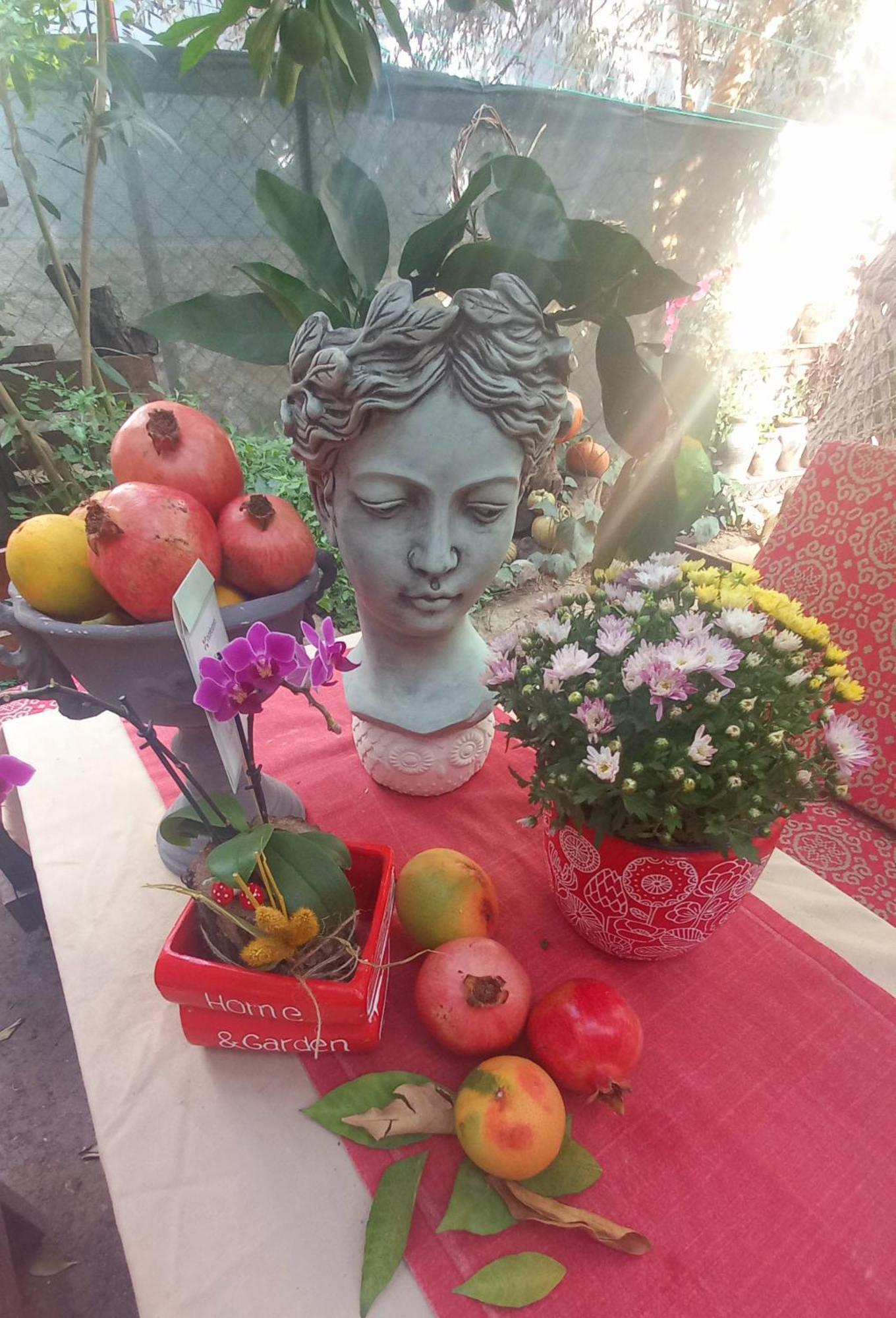 Appartamento Demeter Rose Stonehouse Pansion Antalia Esterno foto