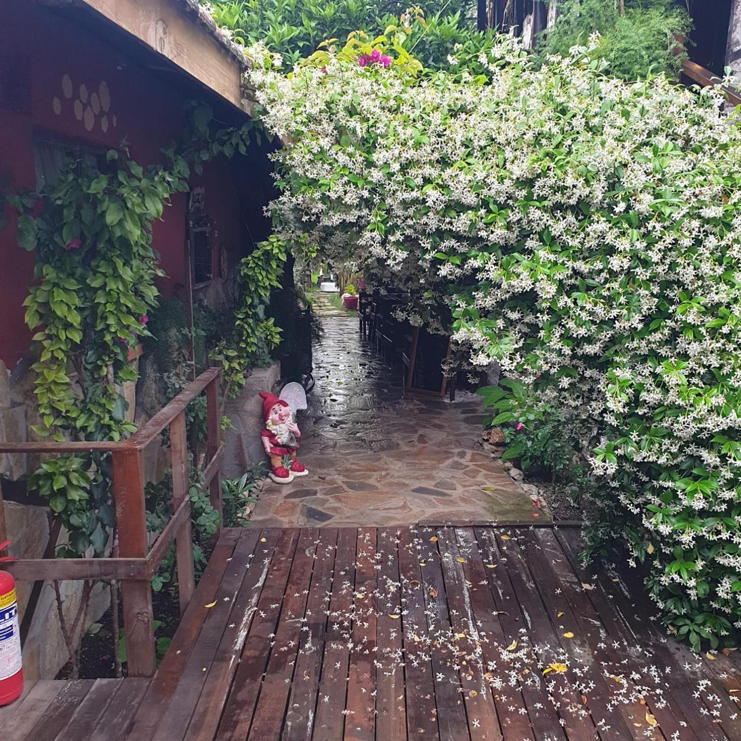 Appartamento Demeter Rose Stonehouse Pansion Antalia Esterno foto
