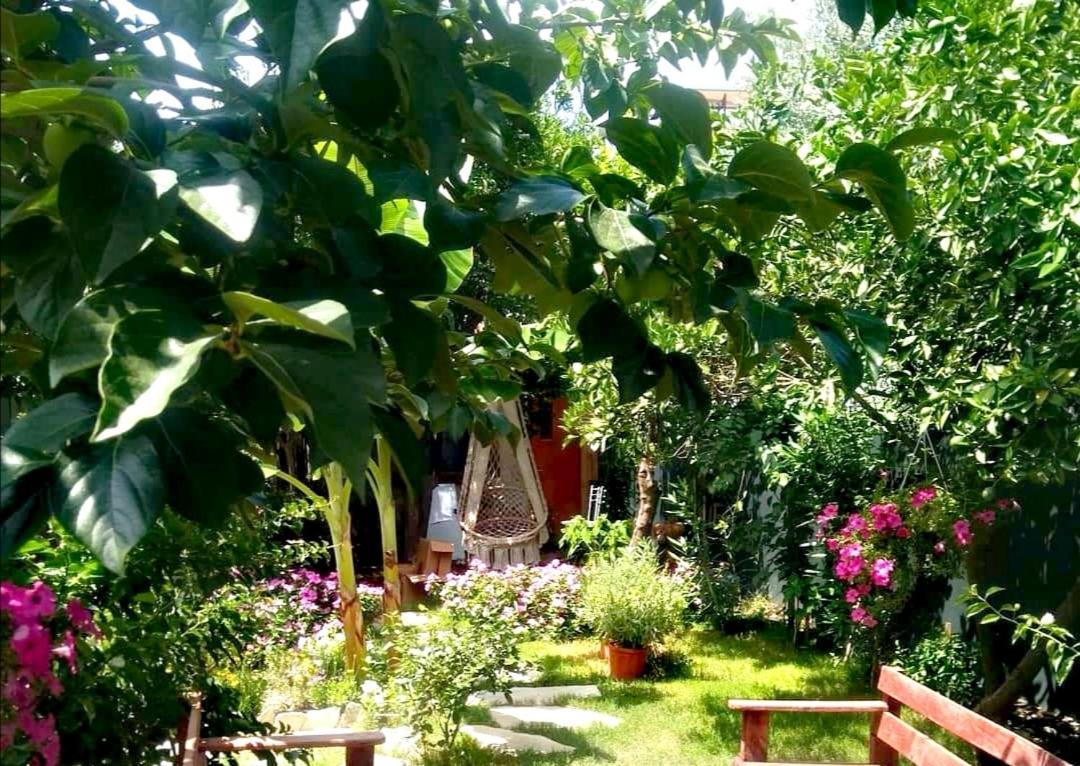 Appartamento Demeter Rose Stonehouse Pansion Antalia Esterno foto