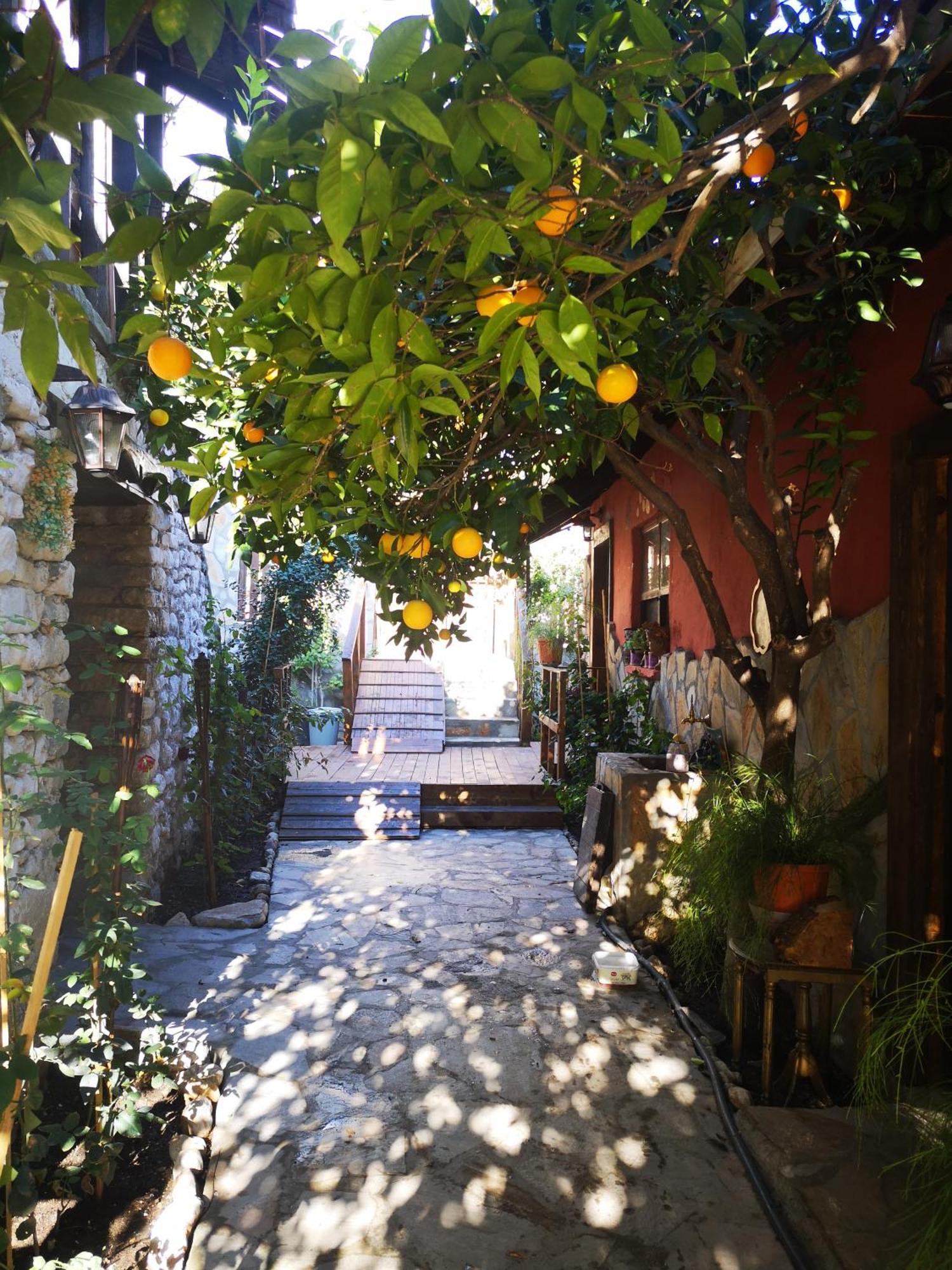 Appartamento Demeter Rose Stonehouse Pansion Antalia Esterno foto