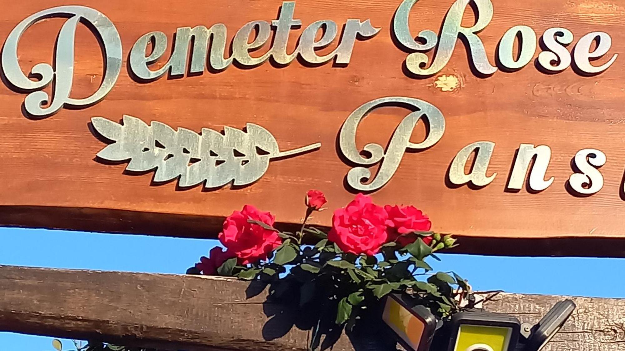 Appartamento Demeter Rose Stonehouse Pansion Antalia Esterno foto