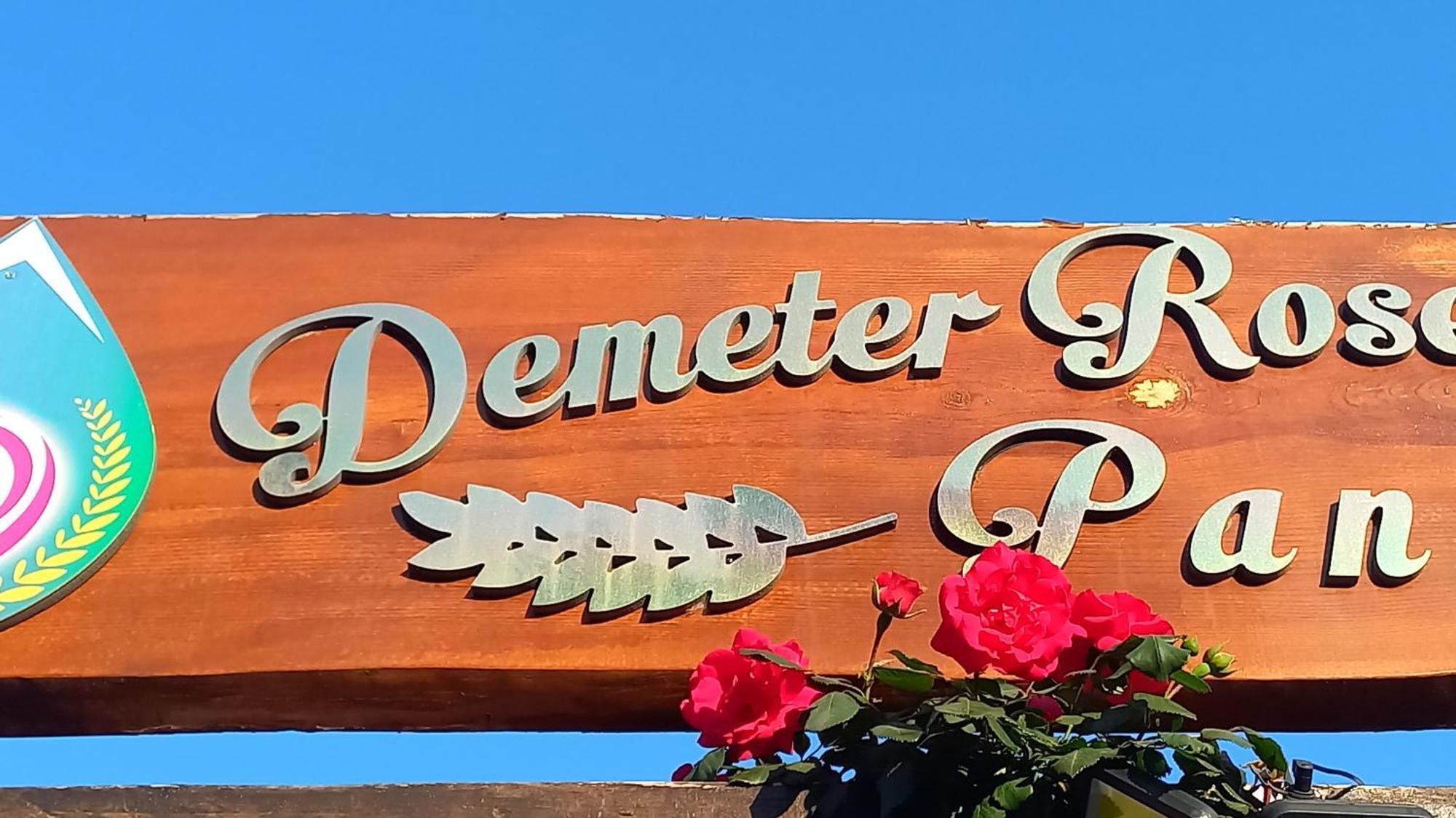 Appartamento Demeter Rose Stonehouse Pansion Antalia Esterno foto
